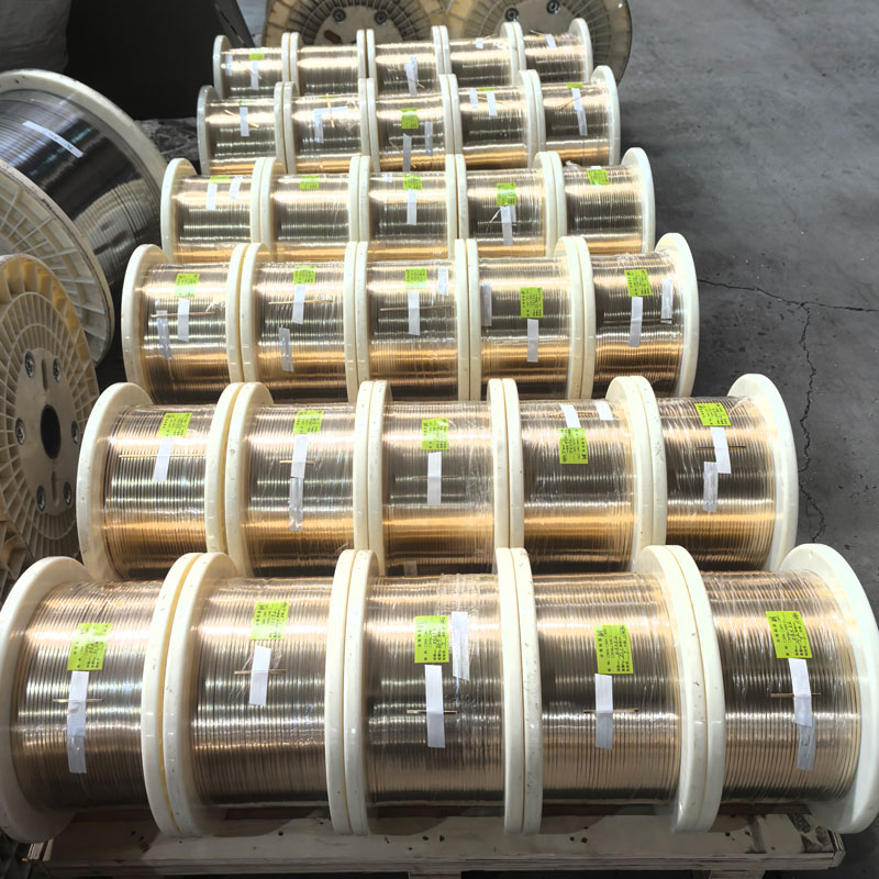 คอยล์แถบสแตนเลส 301